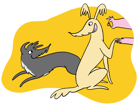 SciDog Napközi